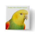 Dbl Yellow Headed Amazon Parrot Pin buttons by twopurringcats Dbl Yellow Headed Amazon Parrot Pin buttons