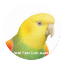 Dbl Yellow Headed Amazon Sticker by twopurringcats Dbl Yellow Headed Amazon Sticker