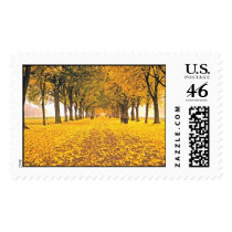 DC11.23.2004 043_edited postage by kelleyimages DC11.23.2004 043_edited postage