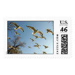 DC12.17.2004 038_edited Postage Stamp