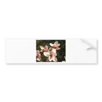 DC Cherry Blossoms Photograph Mousepad bumper stickers