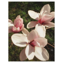 DC Cherry Blossoms Photograph Mousepad flyers
