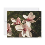 DC Cherry Blossoms Photograph Mousepad invitations