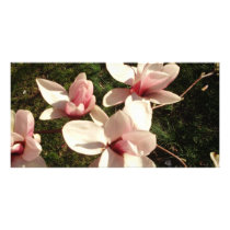 DC Cherry Blossoms Photograph Mousepad photo cards by jjennifer75 DC Cherry Blossoms Photograph Mousepad photo cards