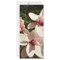 DC Cherry Blossoms Photograph Mousepad Rack Cards