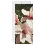 DC Cherry Blossoms Photograph Mousepad rack cards
