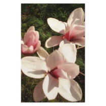 DC Cherry Blossoms Photograph Mousepad stationery by jjennifer75 DC Cherry Blossoms Photograph Mousepad stationery
