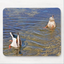 DC Ducks mousepads