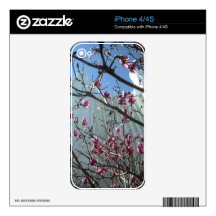 DC Temple Decal For The iPhone 4
