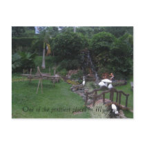 dcc 022 (Small), One of the prettiest places in... postcards