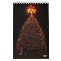dcover, 2009 - Customized calendars