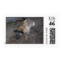 DCP_0152 postage