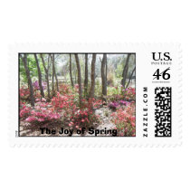 DCP_0411, The Joy of Spring postage by Glassman1011 DCP_0411, The Joy of Spring postage