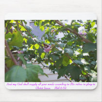 dcp_1103, And my God shall supply all your need... mousepads