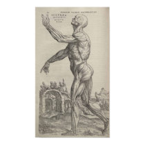 De Humani Corporis posters