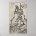 De Humani Corporis Poster