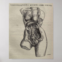 De Humani Corporis Posters