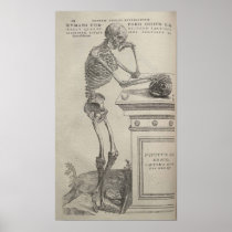 De Humani Corporis Posters