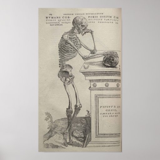 De Humani Corporis Posters