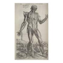 De Humani Corpris posters