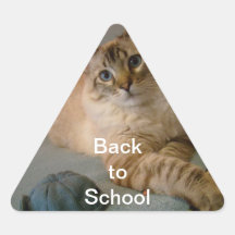 de nuevo a escuela calcomanía de triangulo