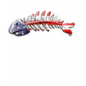 Dead Barracuda t-shirts