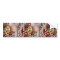 Dead Crab In The Hand Bumper Sticker