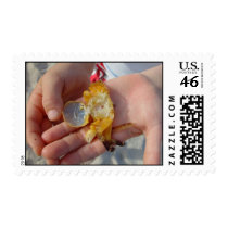 Dead Crab In The Hand Stamps