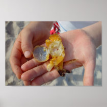 Dead Crab In The Hand Posters