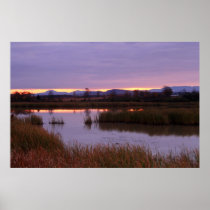 Dead Creek Marshes at Sunrise Posters