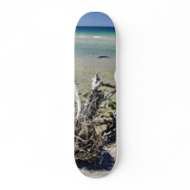 Dead Dry Tree On The Beach In Albania skateboards by lifesphere Dead Dry Tree On The Beach In Albania skateboards