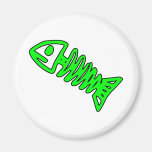 Dead Fish Skeleton Skull Bones Fossil Green Fridge Magnet