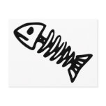 Dead Fish Skeleton Skull Bones Fossil Post Card