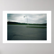 Dead Lamp Post Print