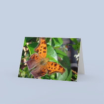 Dead Leaf Butterfly Card by MadLizzy Dead Leaf Butterfly Card