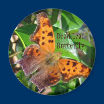 Dead Leaf Butterfly Magnet magnets