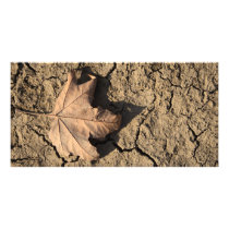 Dead Leaf Photo Cards