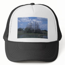 Dead melaleuca mesh hats
