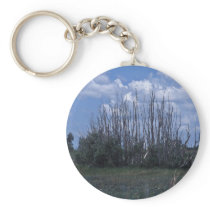 Dead melaleuca keychain