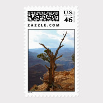Dead on the Edge stamps