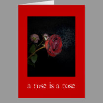 Dead Roses: A Rose is a Rose cards