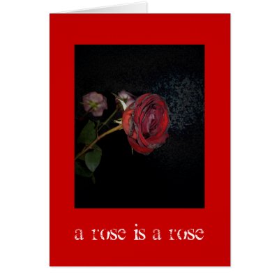 Dead Roses: A Rose is a Rose Greeting Cards by SarahJCurtiss