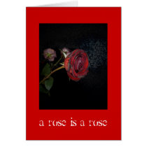 Dead Roses: A Rose is a Rose cards