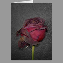 Dead Roses cards