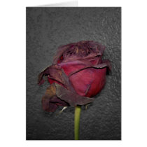 Dead Roses Greeting Card