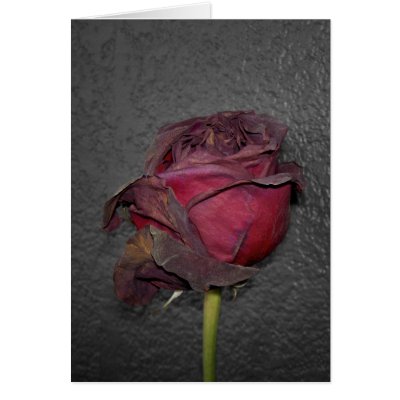 Dead Roses Greeting Card by SarahJCurtiss
