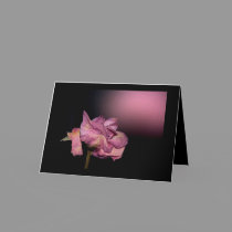 Dead Roses: I sent thee late a rosy wreath cards
