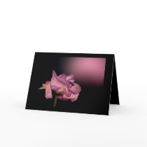 Dead Roses: I sent thee late a rosy wreath cards