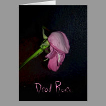 Dead Roses: www.GraceArtGroup.com cards
