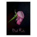 Dead Roses: www.GraceArtGroup.com cards by SarahJCurtiss Dead Roses: www.GraceArtGroup.com cards